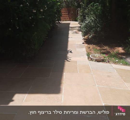 שביל מרוצף נקי עם צללים ועציצים
